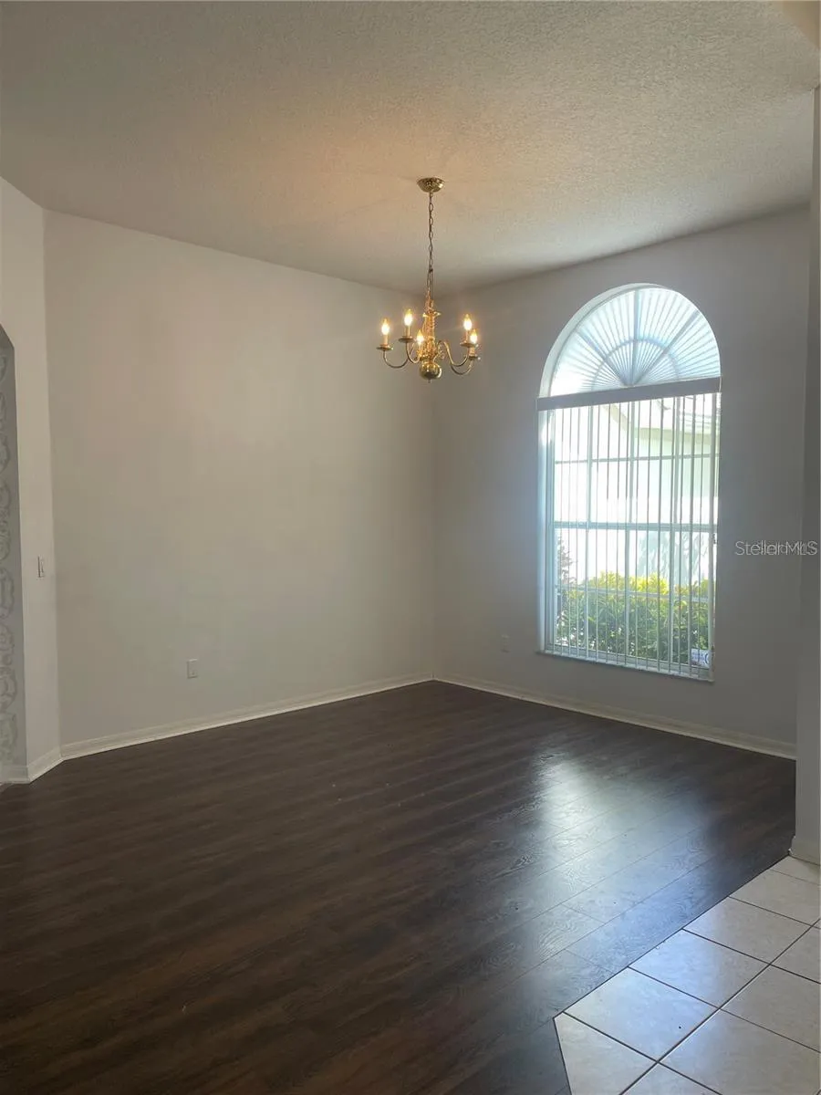 3941 ROSWELL PLACE Land O Lakes, FL 34639