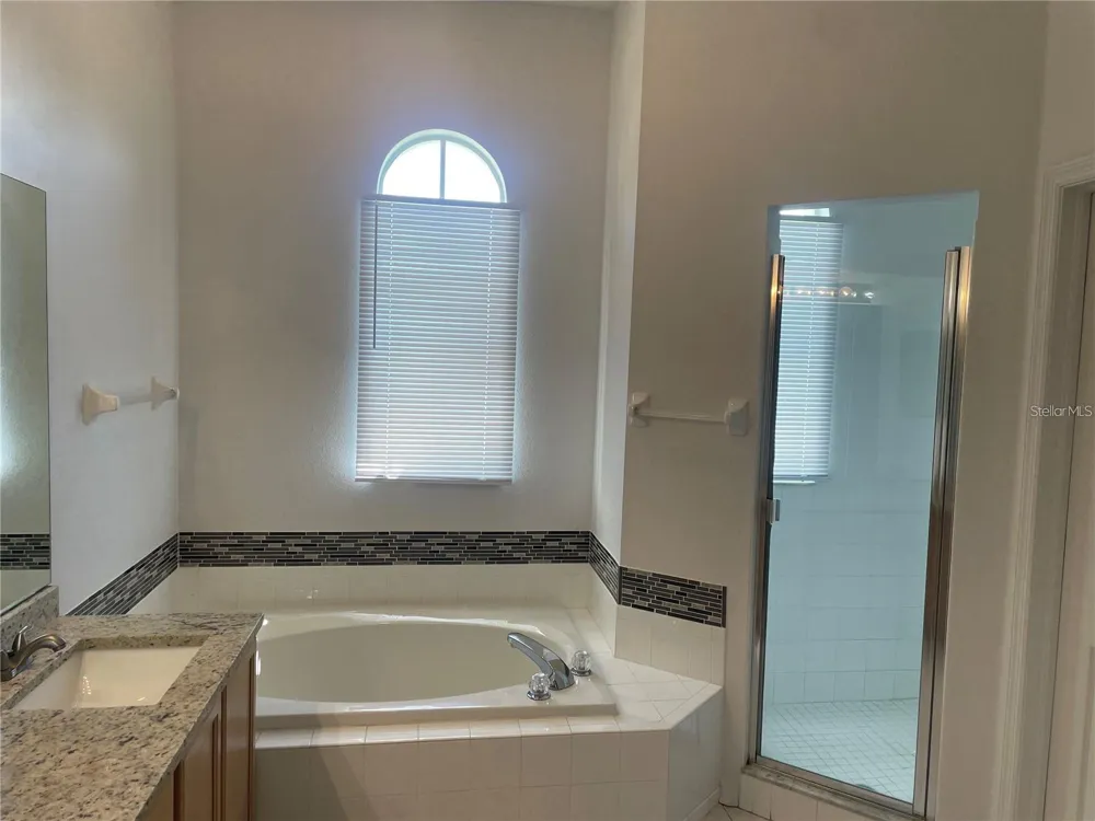 3941 ROSWELL PLACE Land O Lakes, FL 34639