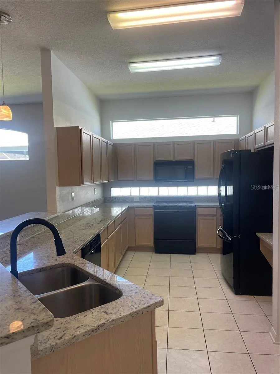3941 ROSWELL PLACE Land O Lakes, FL 34639