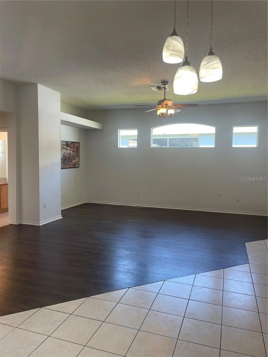 3941 ROSWELL PLACE Land O Lakes, FL 34639