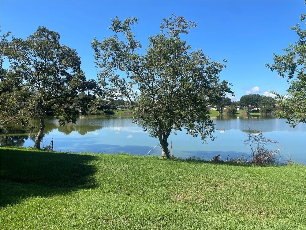 3941 ROSWELL PLACE Land O Lakes, FL 34639