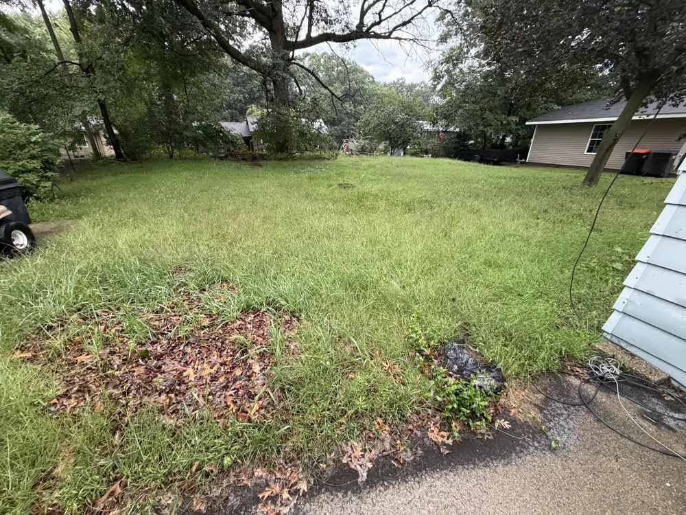 131 Dunton Avenue Holland, MI 49424