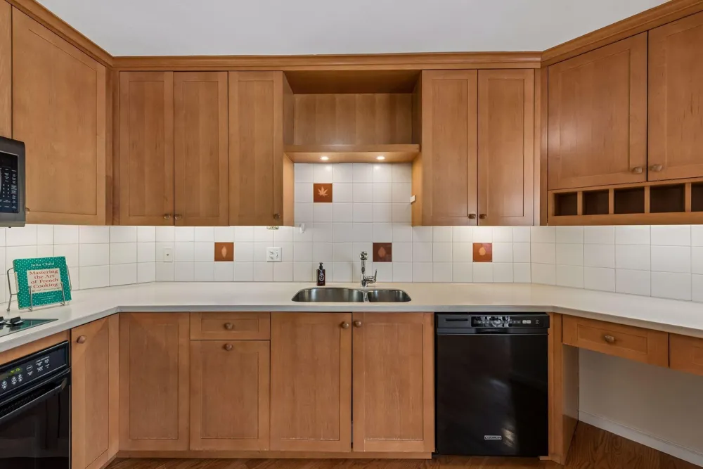1225 Lasalle Avenue #1307 Minneapolis, MN 55403