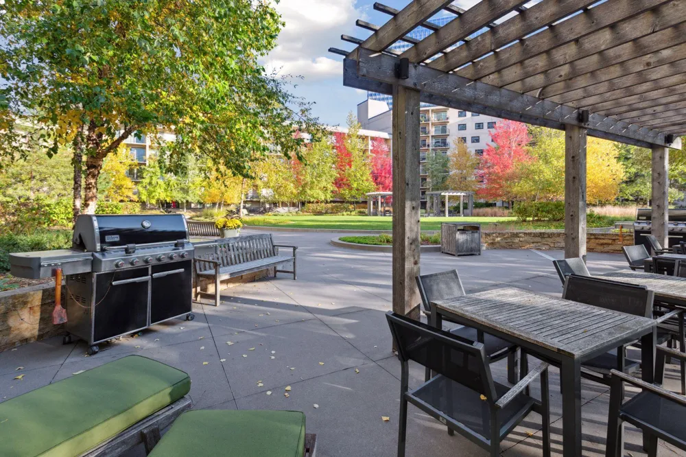 1225 Lasalle Avenue #1307 Minneapolis, MN 55403