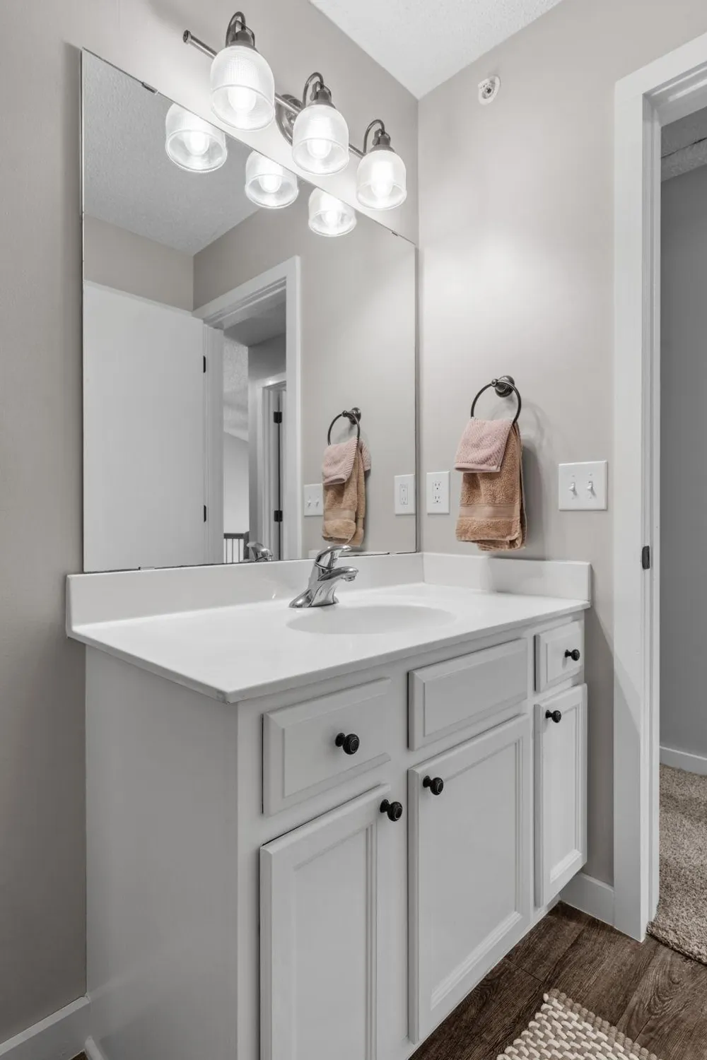 2836 Coach Court Chanhassen, MN 55317