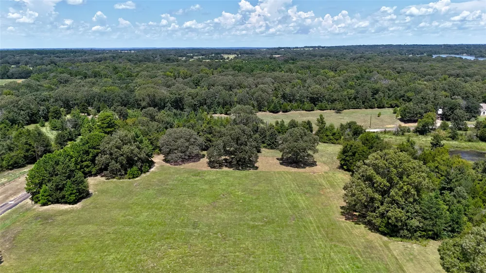 Lee Drive Murchison, TX 75778
