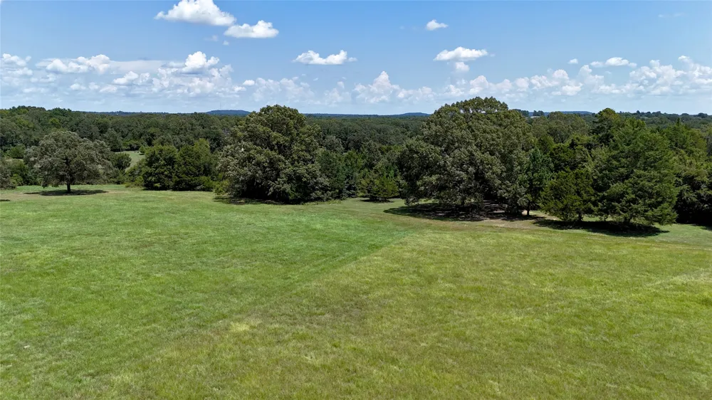 Lee Drive Murchison, TX 75778