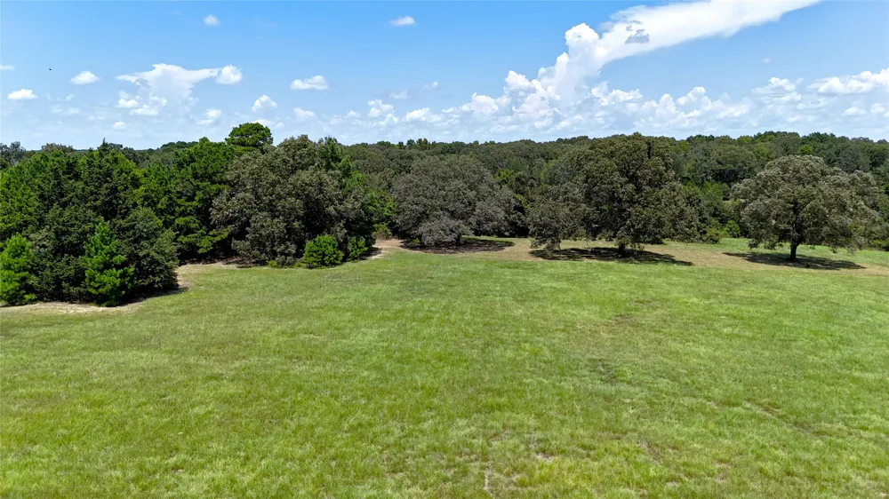 Lee Drive Murchison, TX 75778