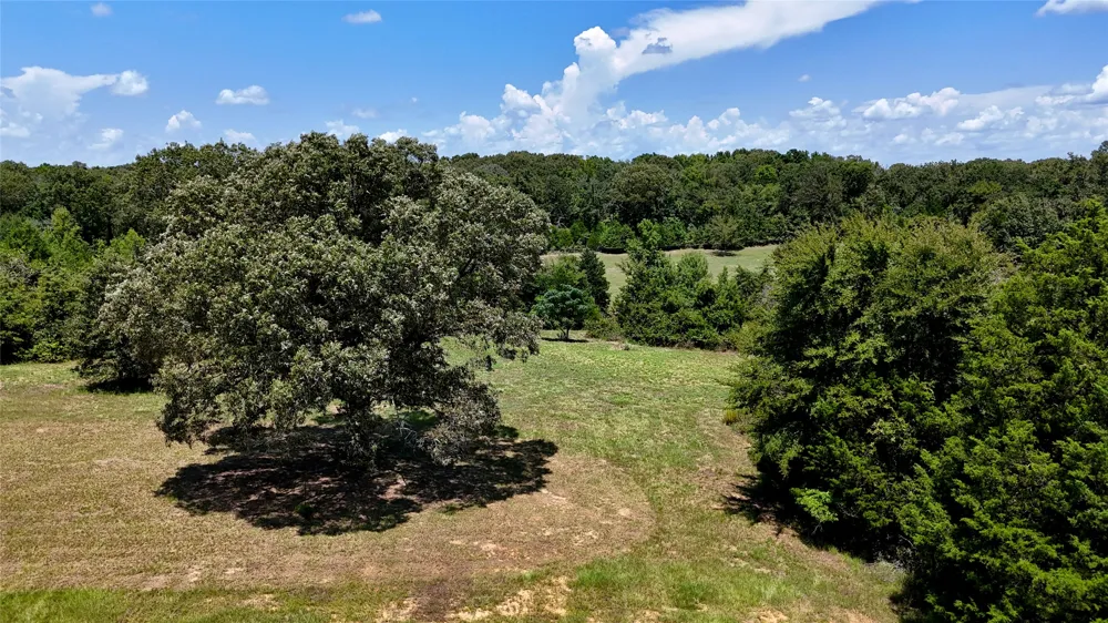 Lee Drive Murchison, TX 75778