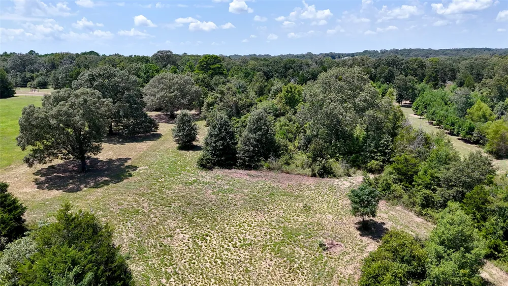 Lee Drive Murchison, TX 75778