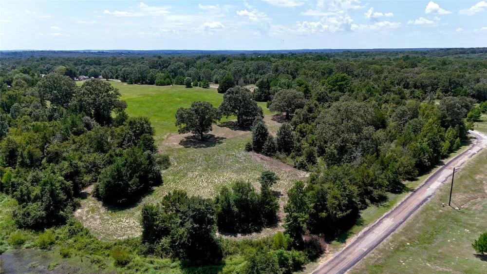 Lee Drive Murchison, TX 75778