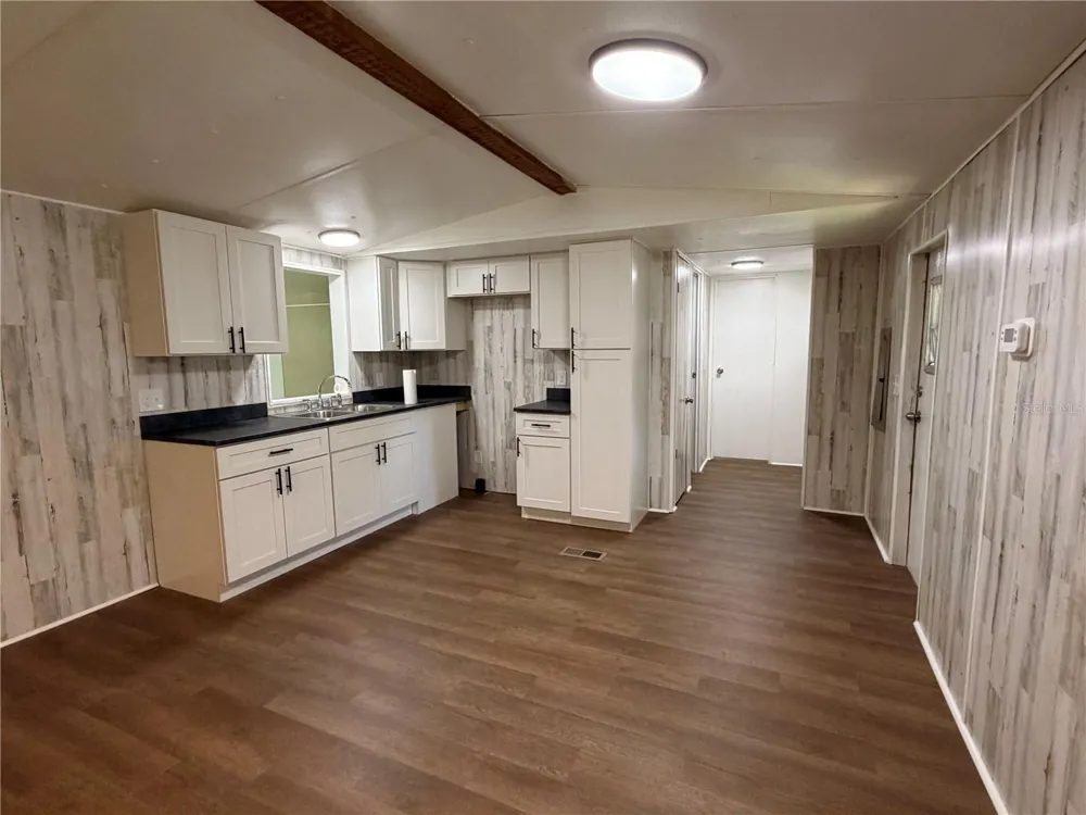 1583 CR 435 Lake Panasoffkee, FL 33538