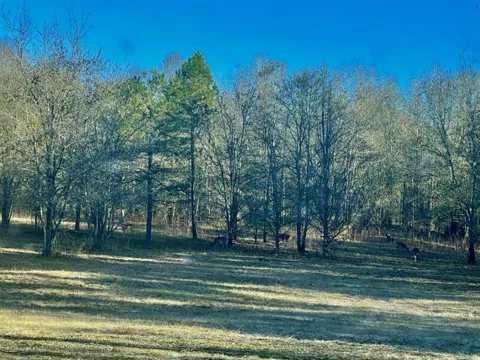 1072 Ford Road