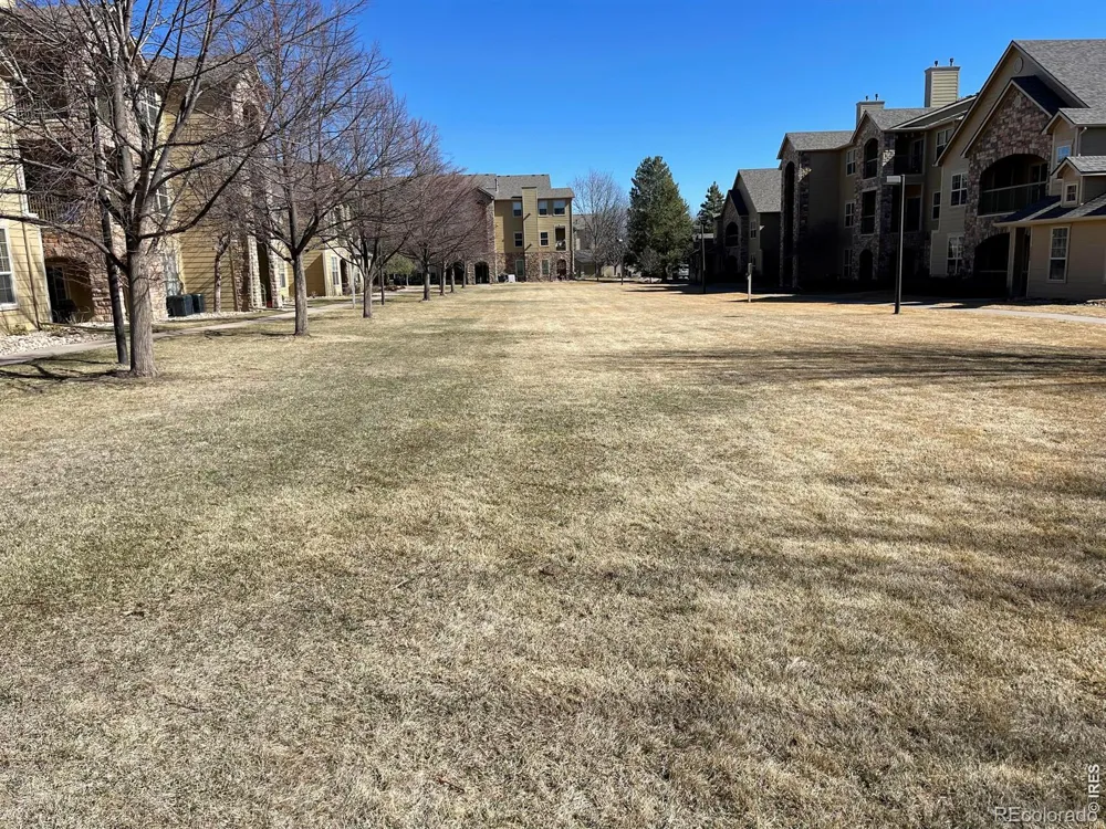 5620 Fossil Creek Parkway #5202 Fort Collins, CO 80525