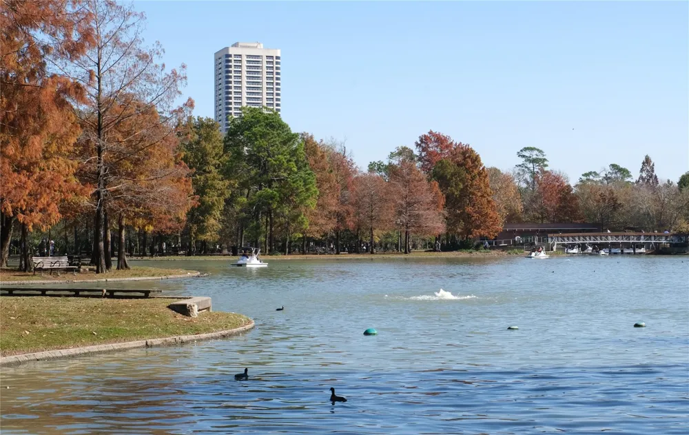 1701 Hermann Drive #34L Houston, TX 77004