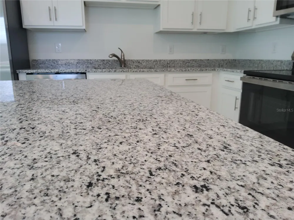 1816 FAN PALM DRIVE Davenport, FL 33897