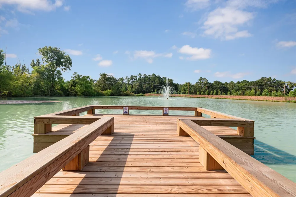 9229 Crestone Peak Drive Willis, TX 77318