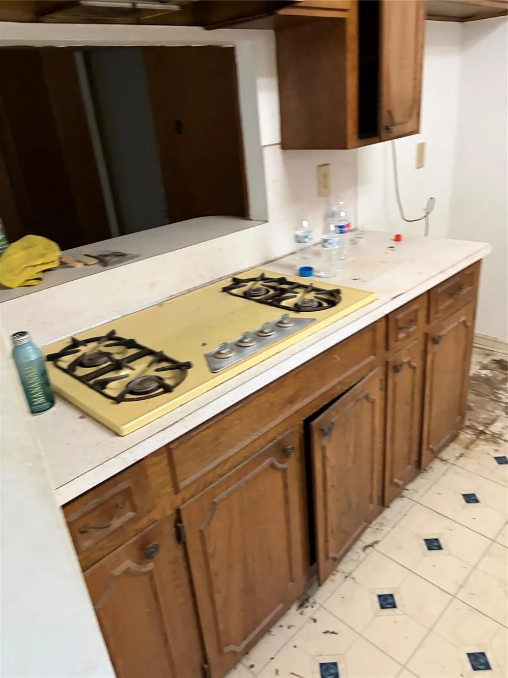 2415 Tinechester Drive Houston, TX 77339
