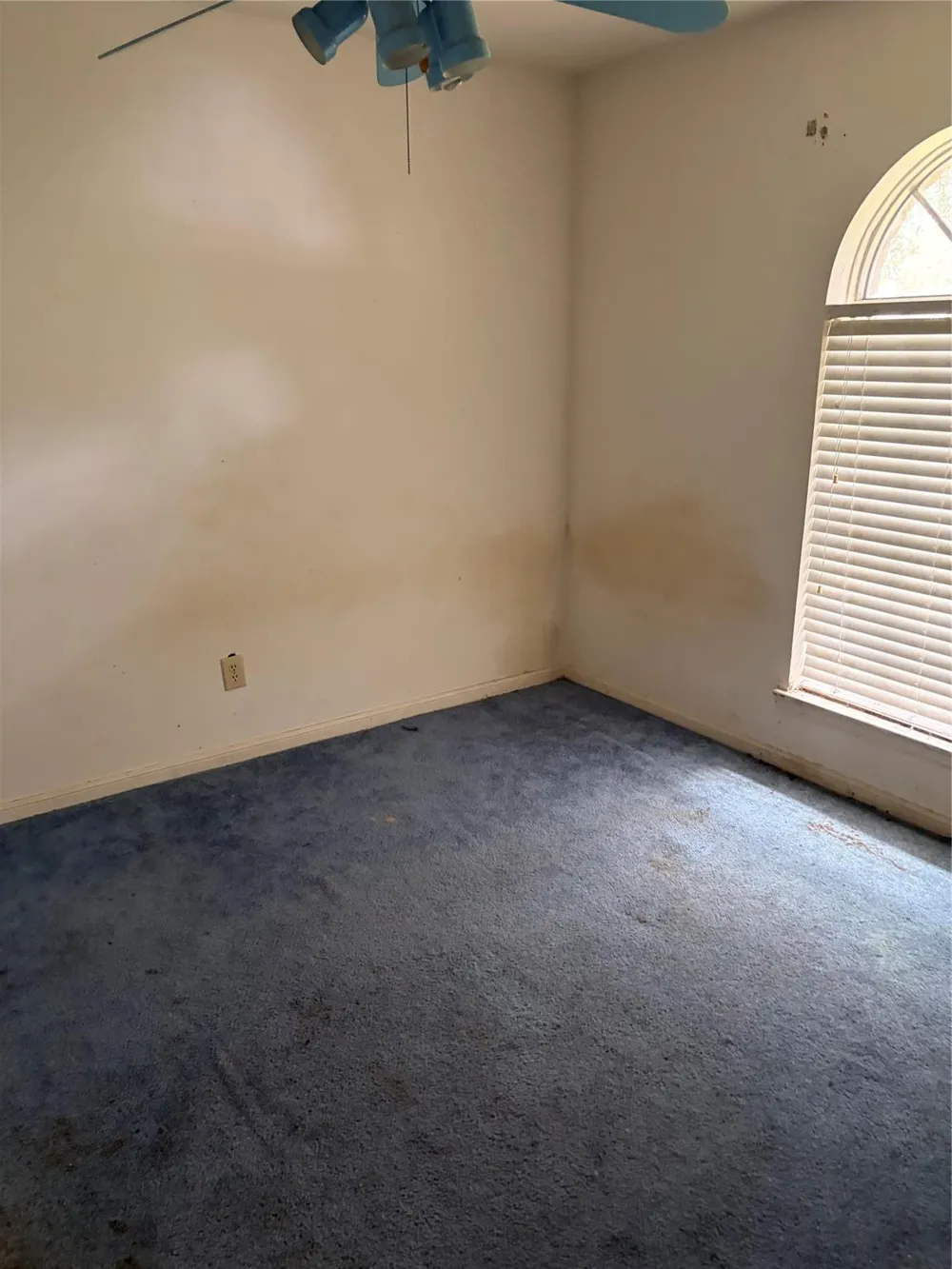2415 Tinechester Drive Houston, TX 77339