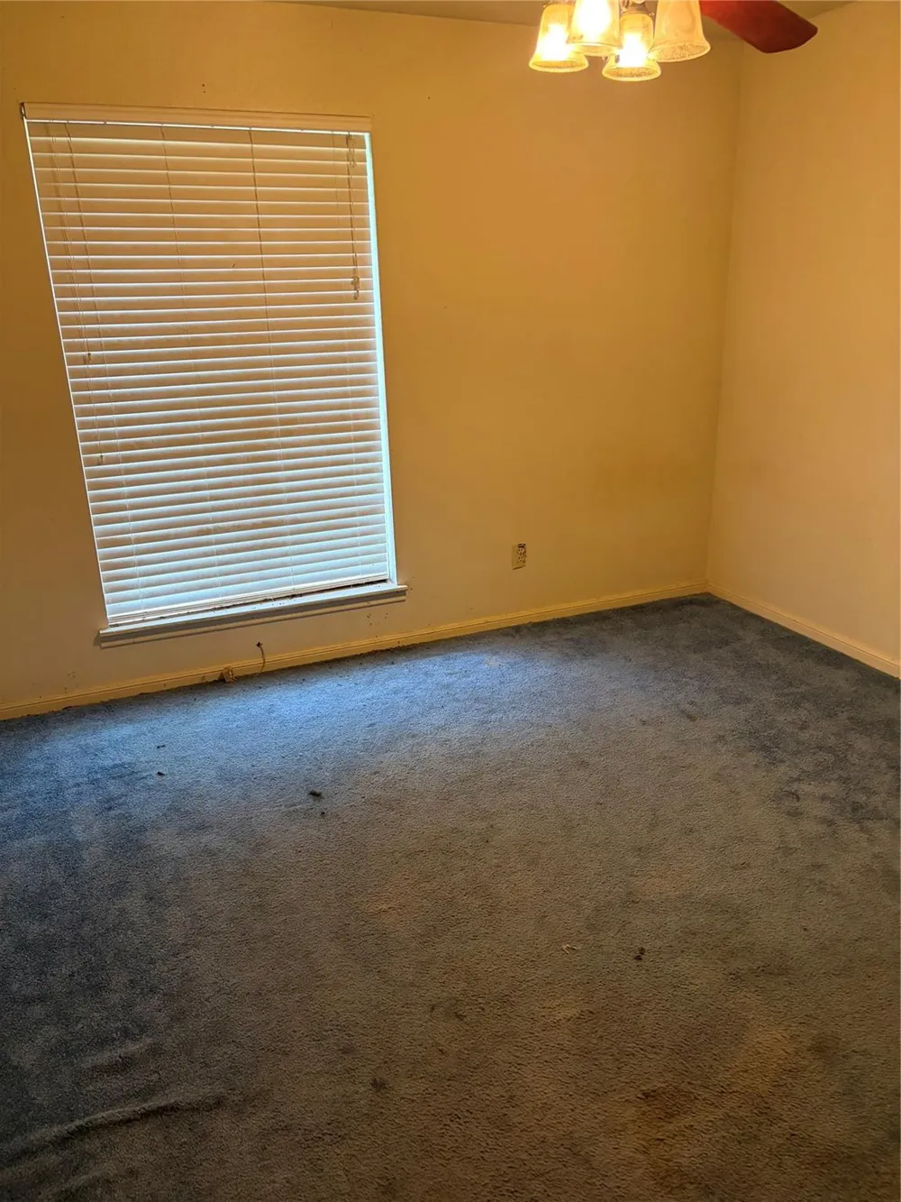 2415 Tinechester Drive Houston, TX 77339