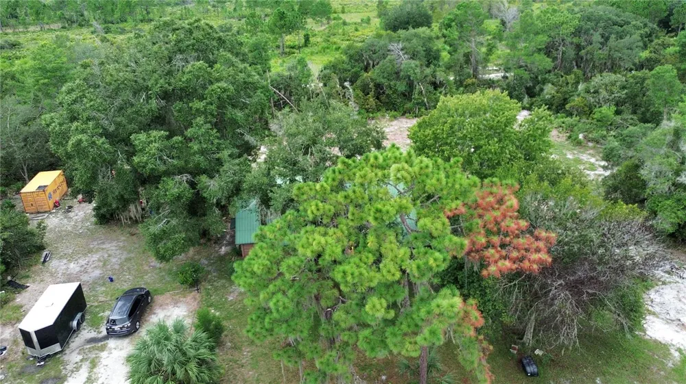 698 WILD ACRES ROAD Osteen, FL 32764