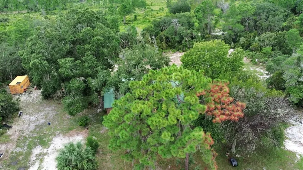 698 WILD ACRES ROAD Osteen, FL 32764