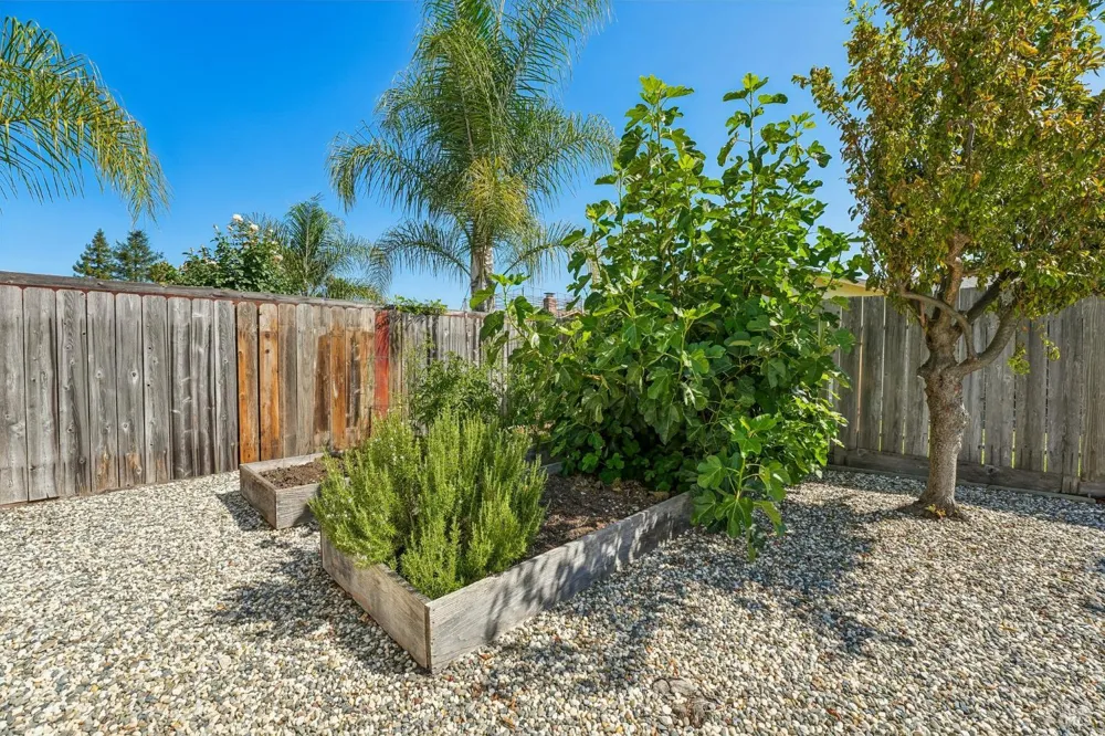 5346 Daniel Drive Rohnert Park, CA 94928