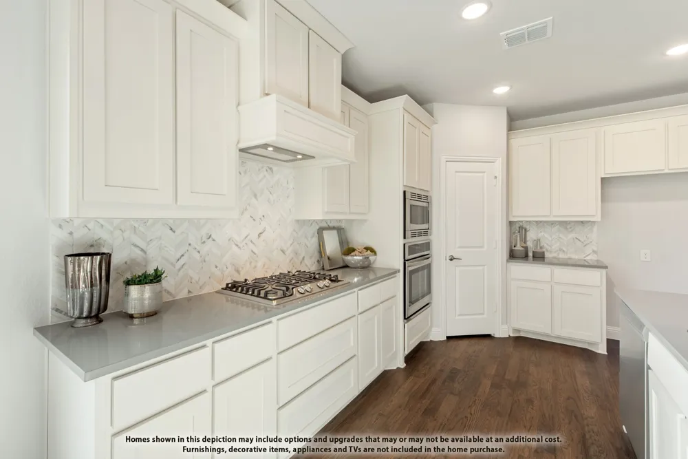 16309 Boston Ivy Drive Fort Worth, TX 76247