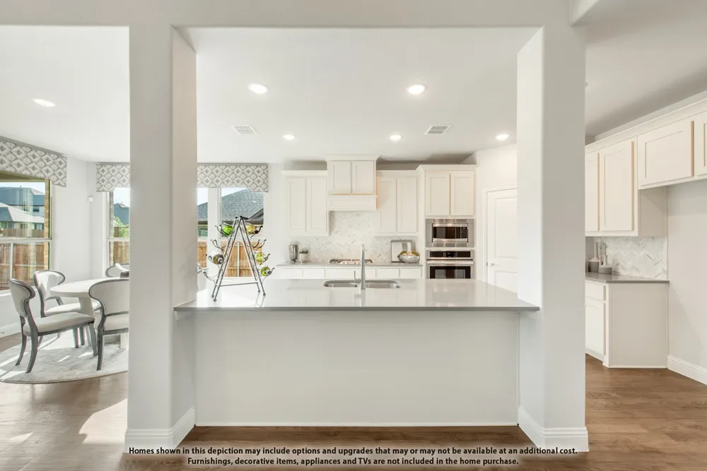 16309 Boston Ivy Drive Fort Worth, TX 76247
