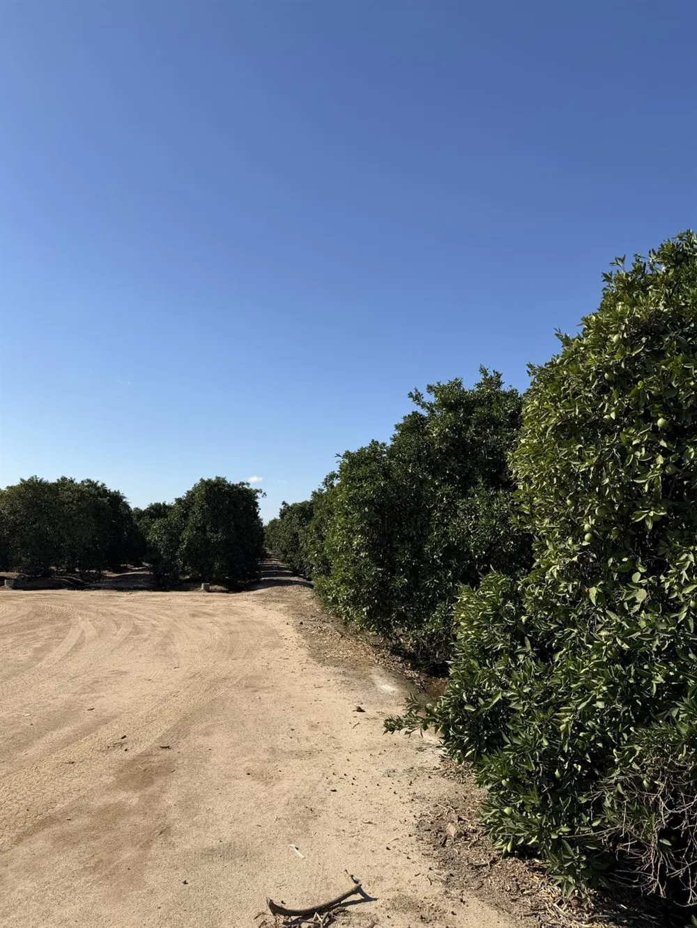 13331 E Belmont Avenue Sanger, CA 93657