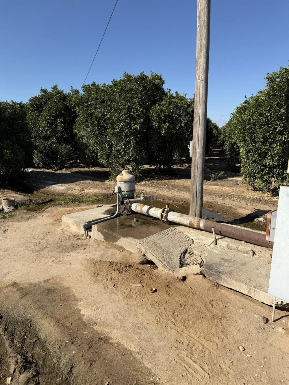 13331 E Belmont Avenue Sanger, CA 93657