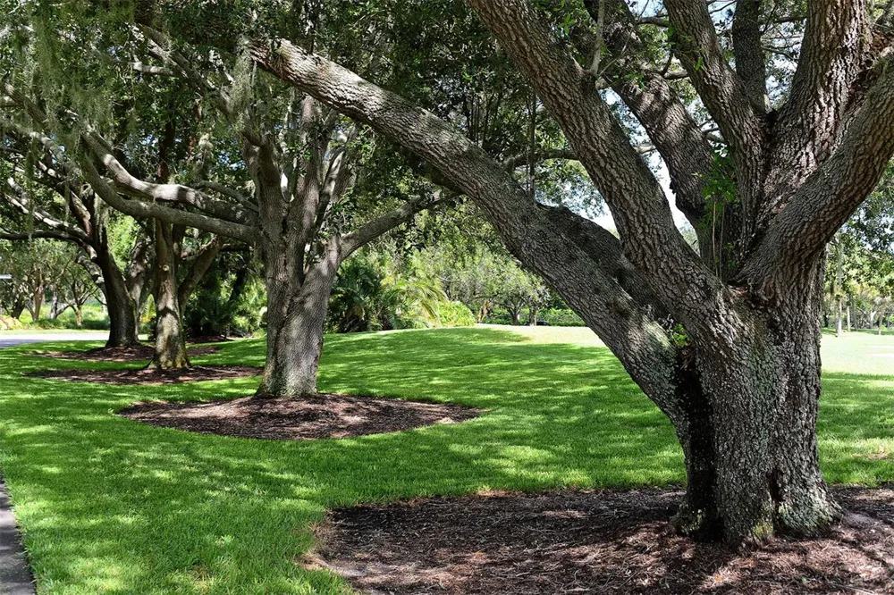 141 SUGAR MILL DRIVE Osprey, FL 34229