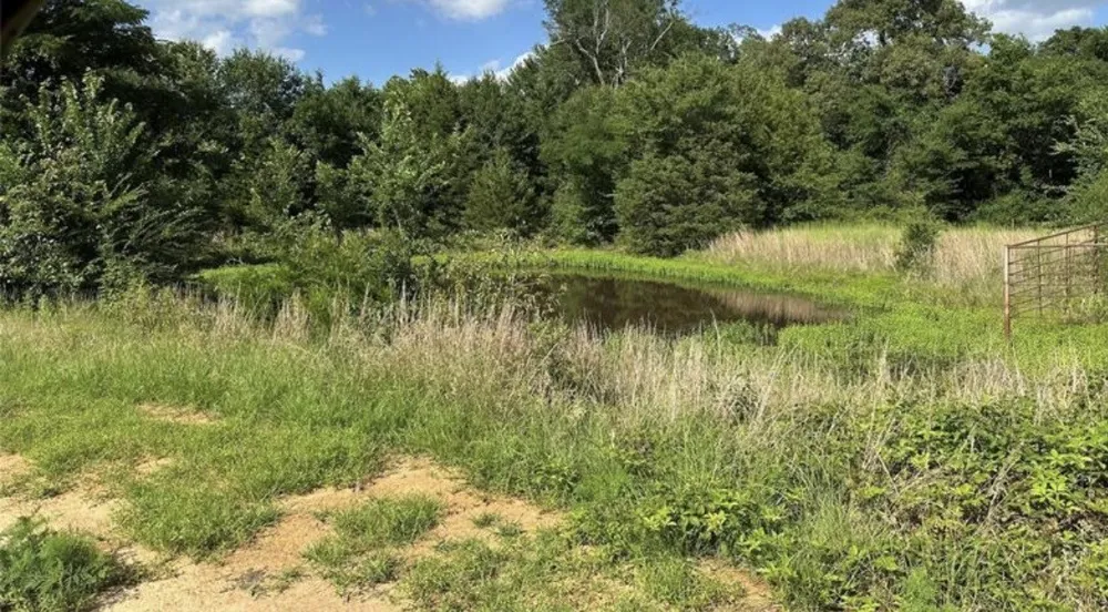 CR 44240 Powderly, TX 75473