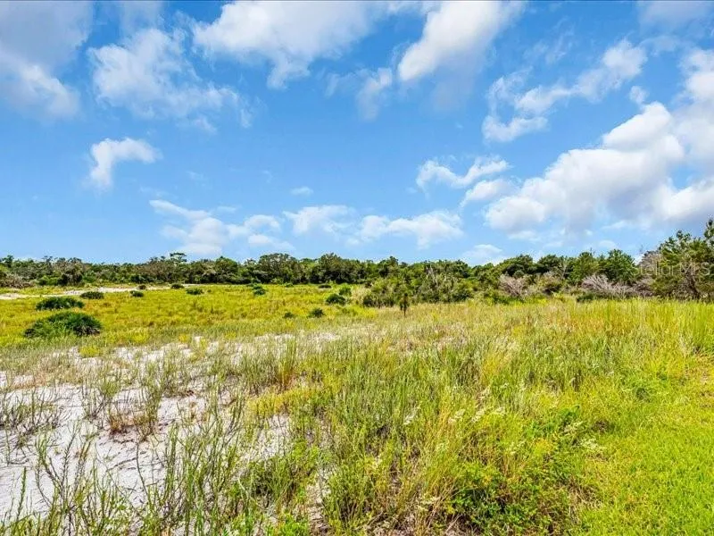 5054 LAKE TOSCANA DRIVE Wimauma, FL 33598