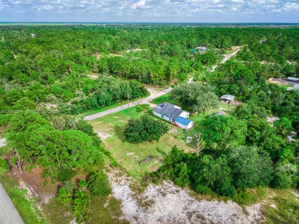 580 Summer Hill Drive Lake Placid, FL 33852