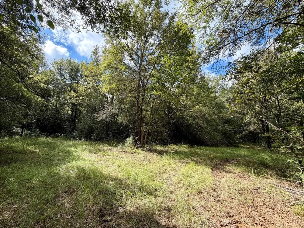 7217 Pr 2110 Centerville, TX 75833