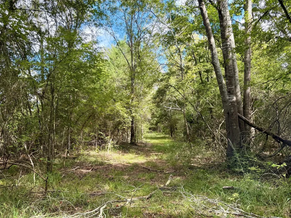 7217 Pr 2110 Centerville, TX 75833