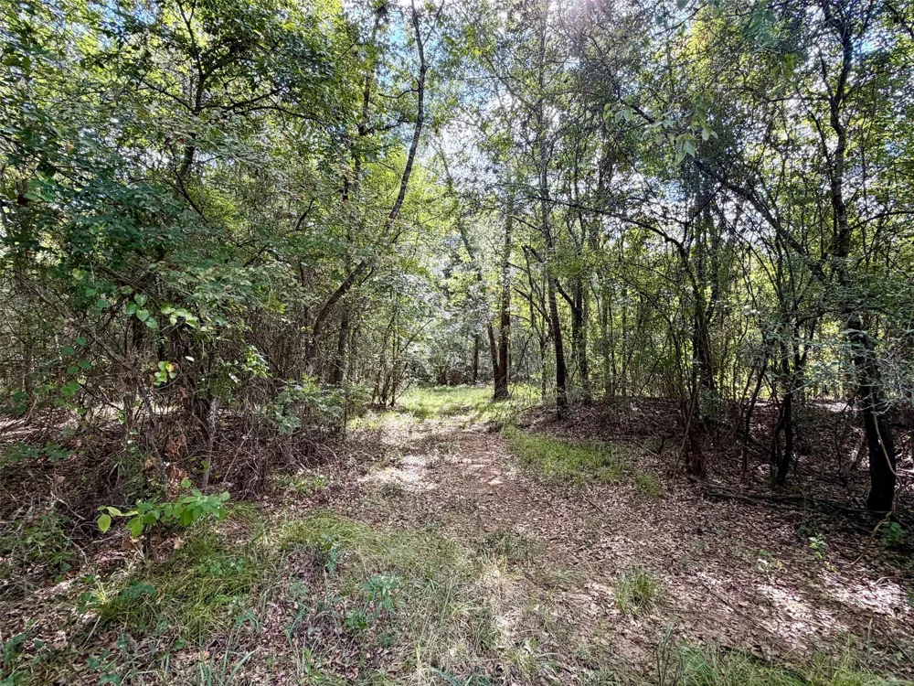 7217 Pr 2110 Centerville, TX 75833