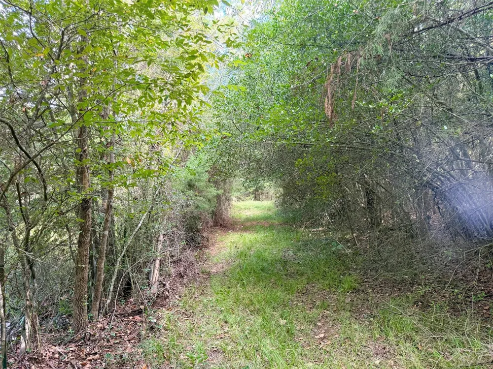 7217 Pr 2110 Centerville, TX 75833