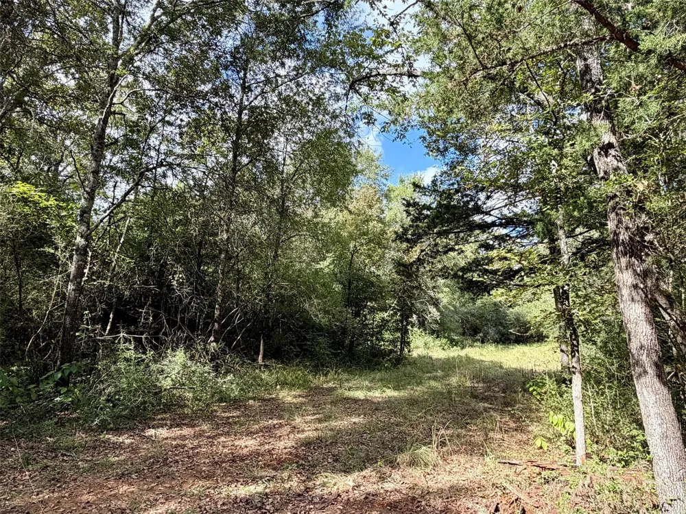 7217 Pr 2110 Centerville, TX 75833