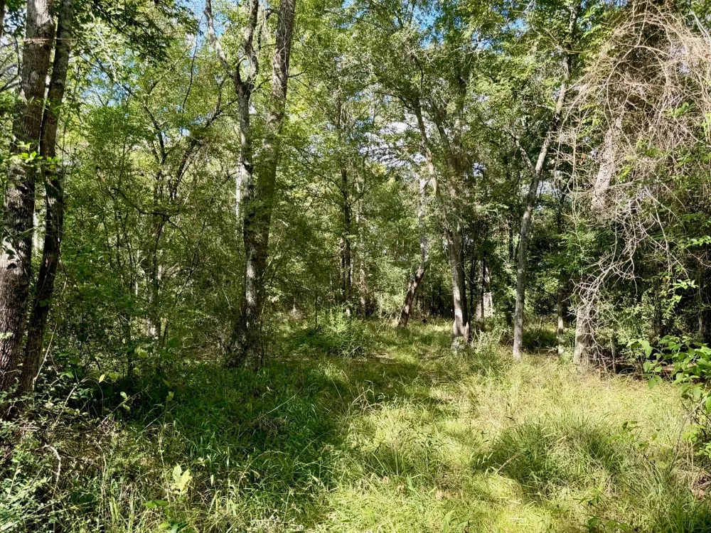 7217 Pr 2110 Centerville, TX 75833