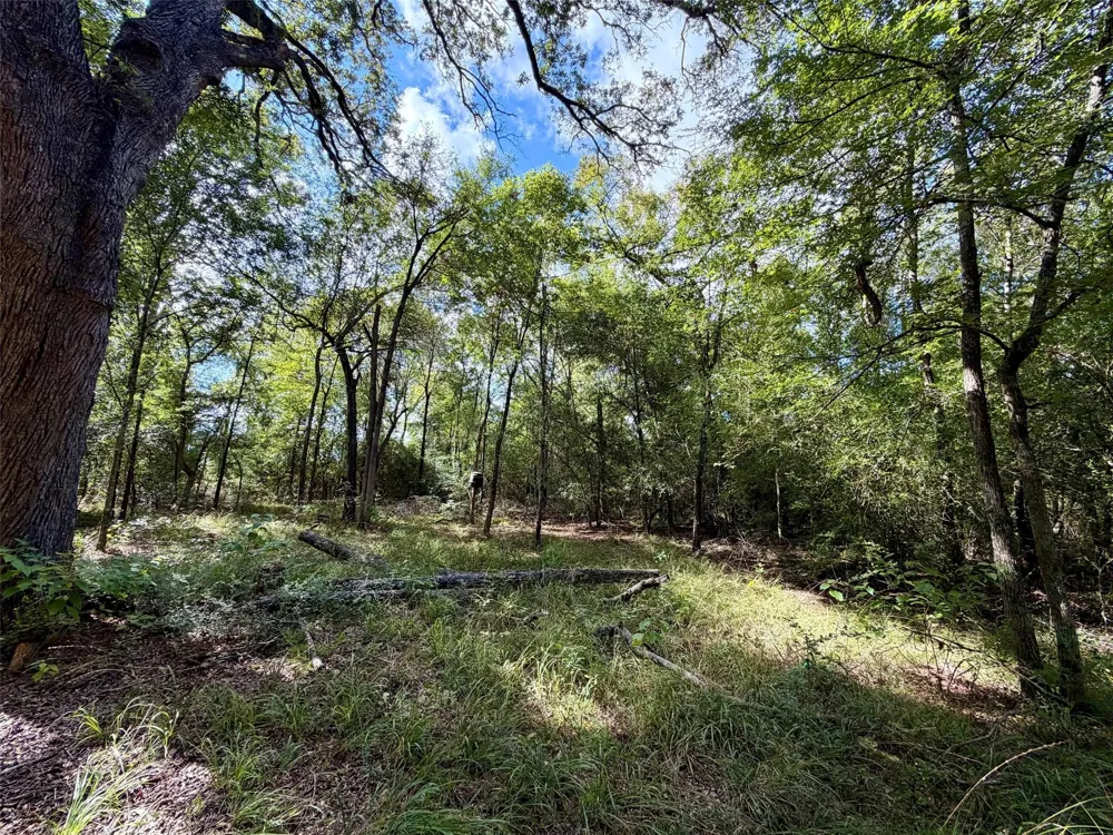 7217 Pr 2110 Centerville, TX 75833
