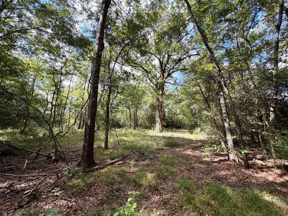 7217 Pr 2110 Centerville, TX 75833