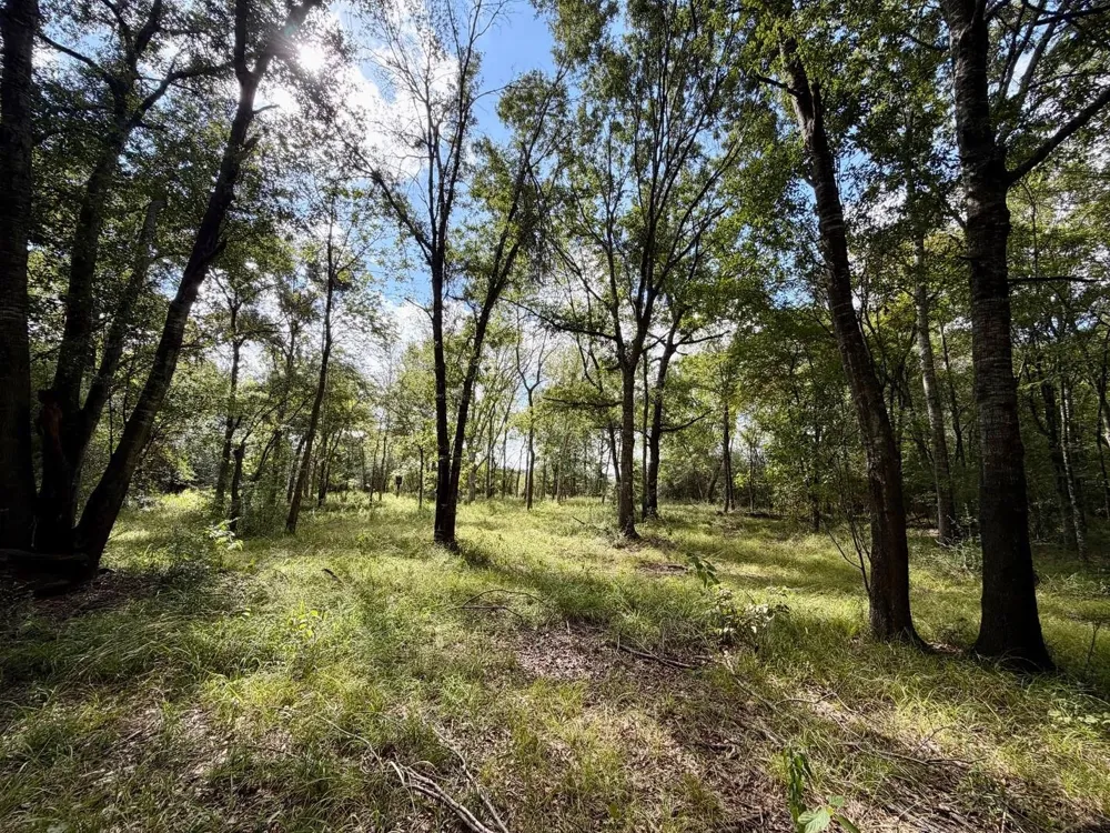 7217 Pr 2110 Centerville, TX 75833