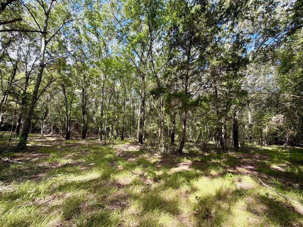 7217 Pr 2110 Centerville, TX 75833