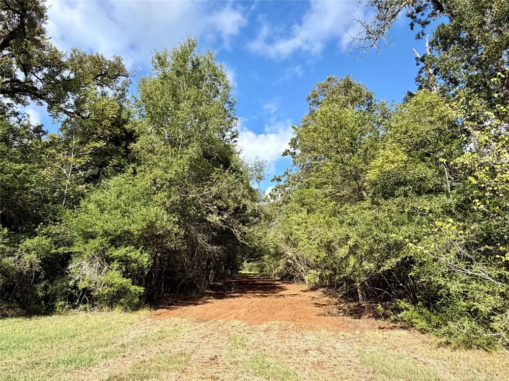 7217 Pr 2110 Centerville, TX 75833