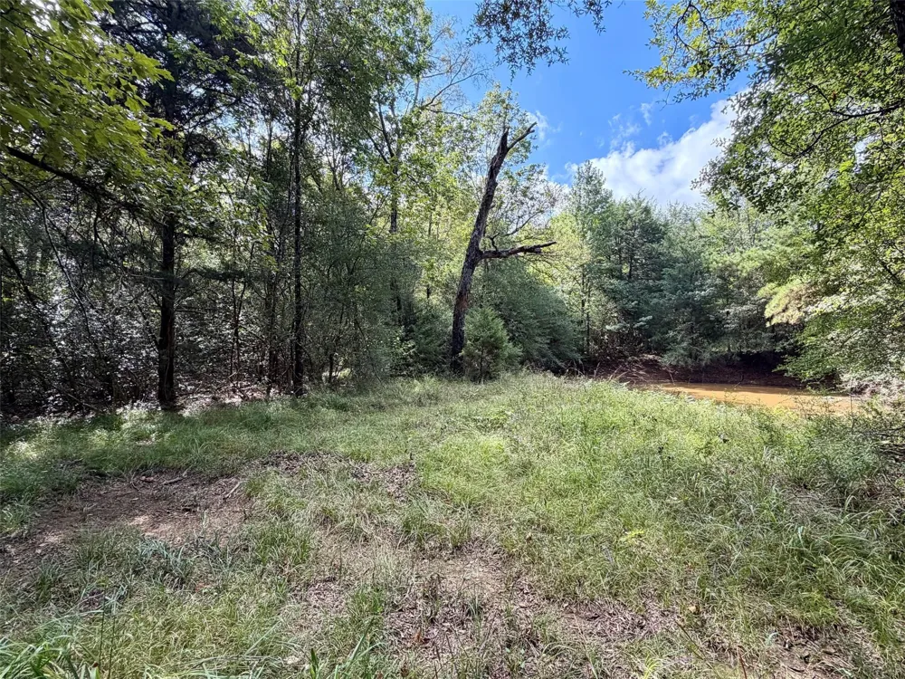 7217 Pr 2110 Centerville, TX 75833