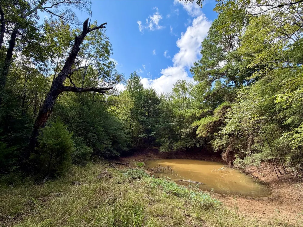 7217 Pr 2110 Centerville, TX 75833