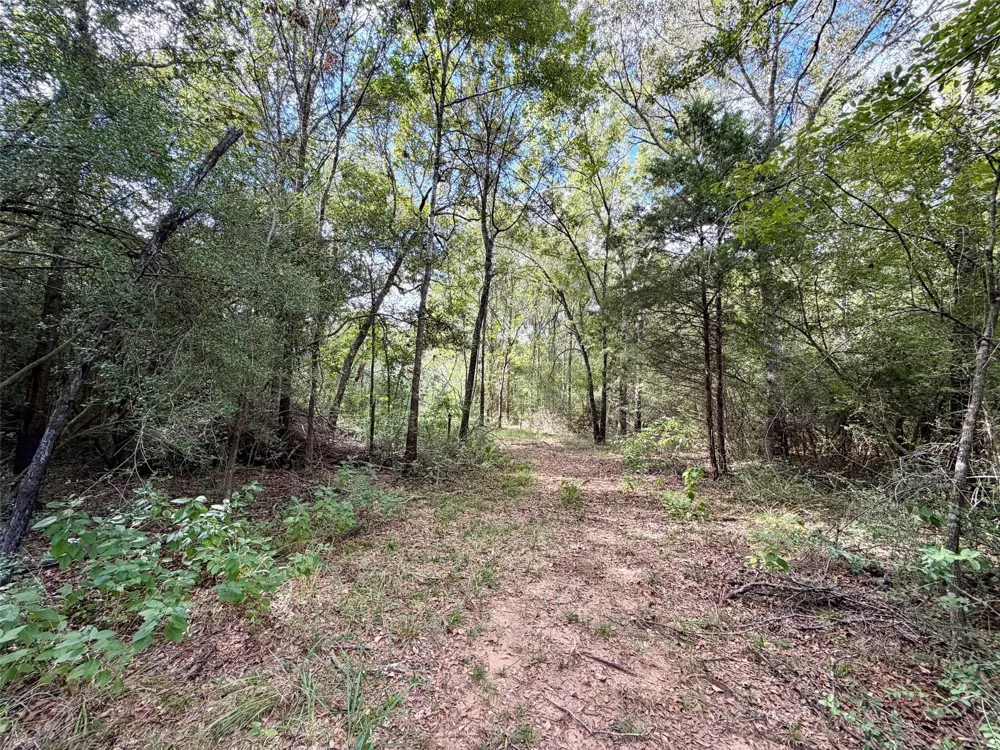 7217 Pr 2110 Centerville, TX 75833