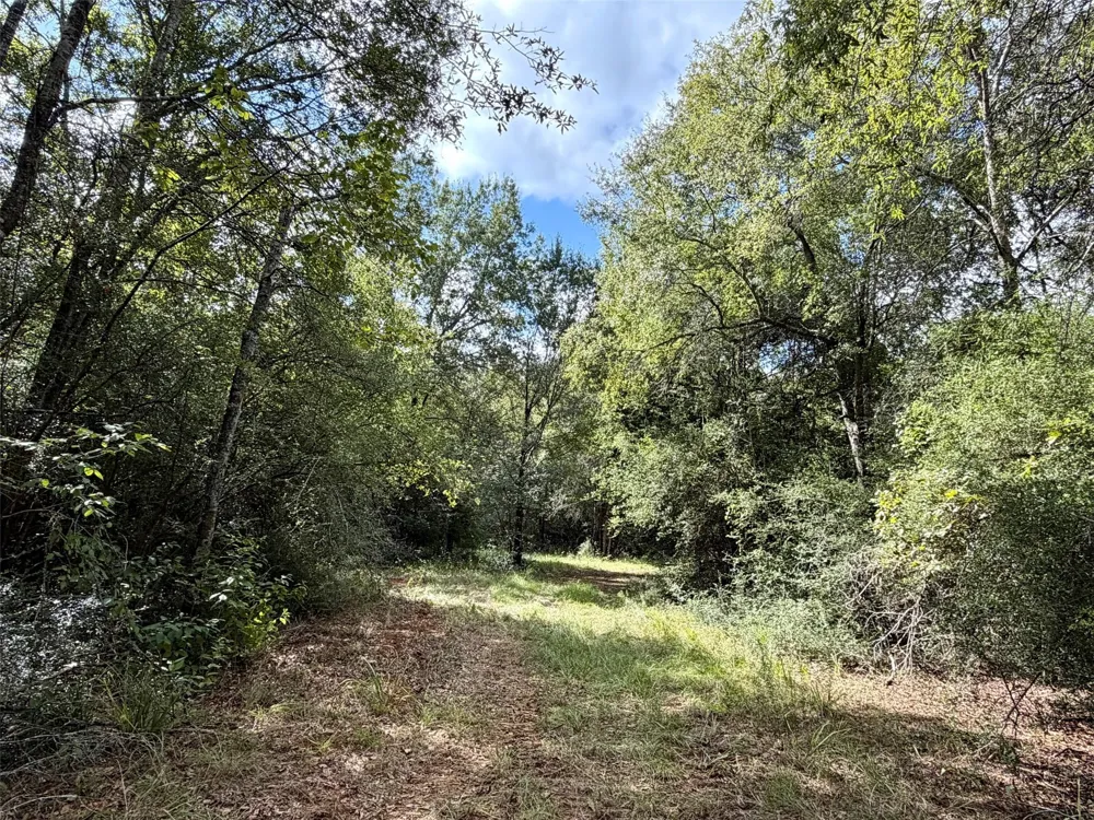 7217 Pr 2110 Centerville, TX 75833